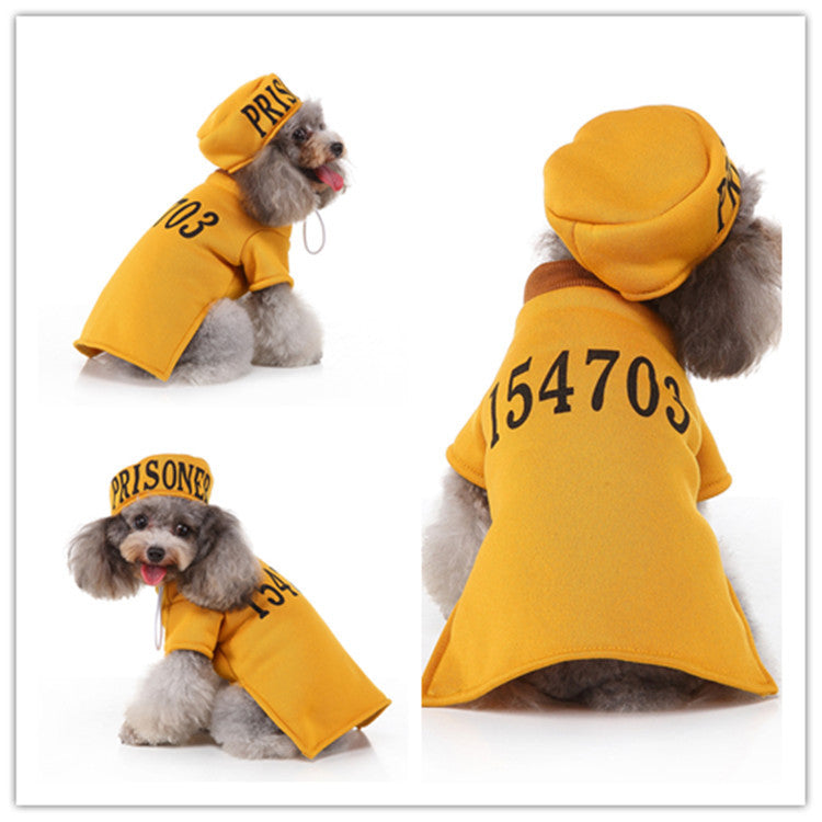 Knitted Dog Sweater — Holiday, Halloween & Everyday Colors, S to XL