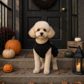 Pet Halloween Vest Dress for Cats and Dogs, Pumpkin Costume for Pomeranian