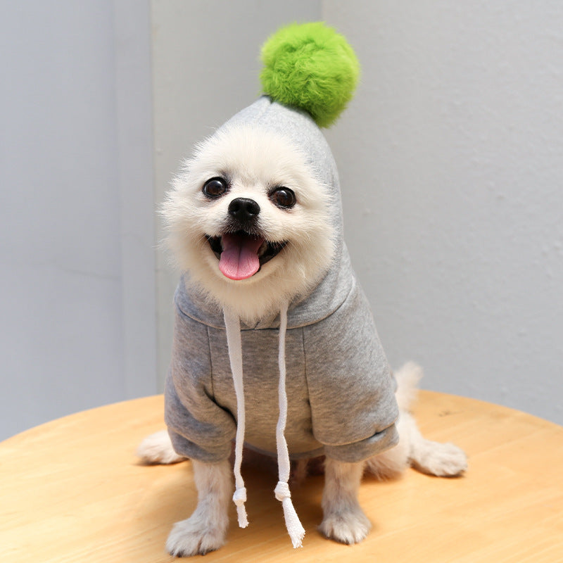 Chick-Style Pet Sweatshirt for Cats & Dogs