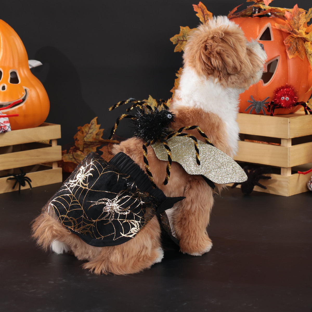 Halloween Pet Dog Costume Spooky Spider Wings Transformation Dress Set Factory Direct