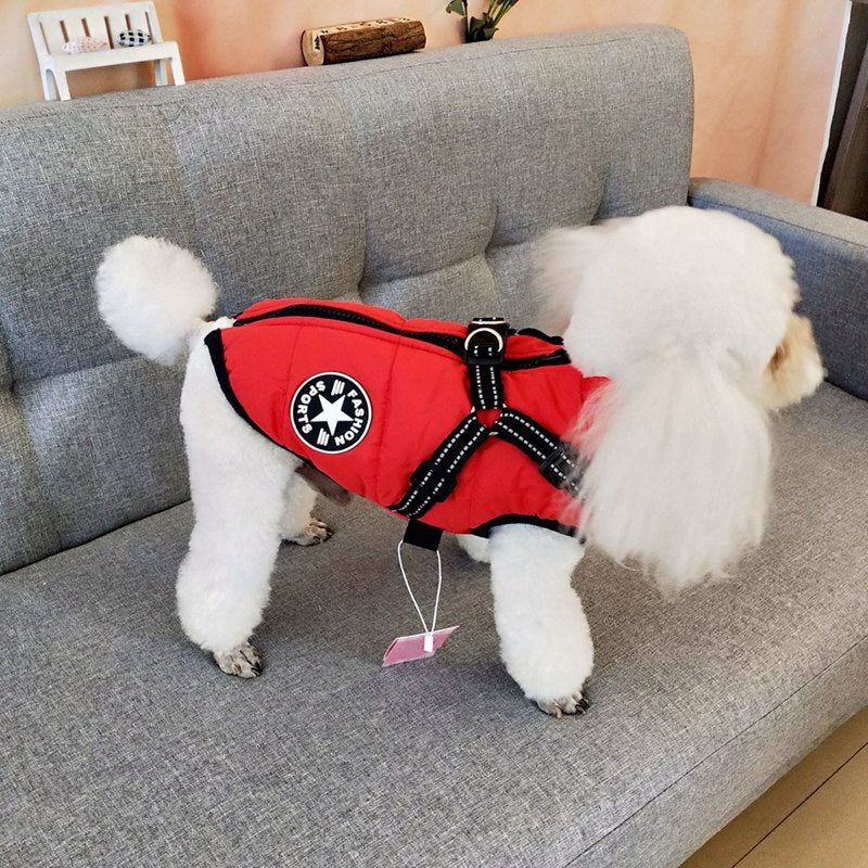 Padded Winter Dog Vest with Adjustable Harness