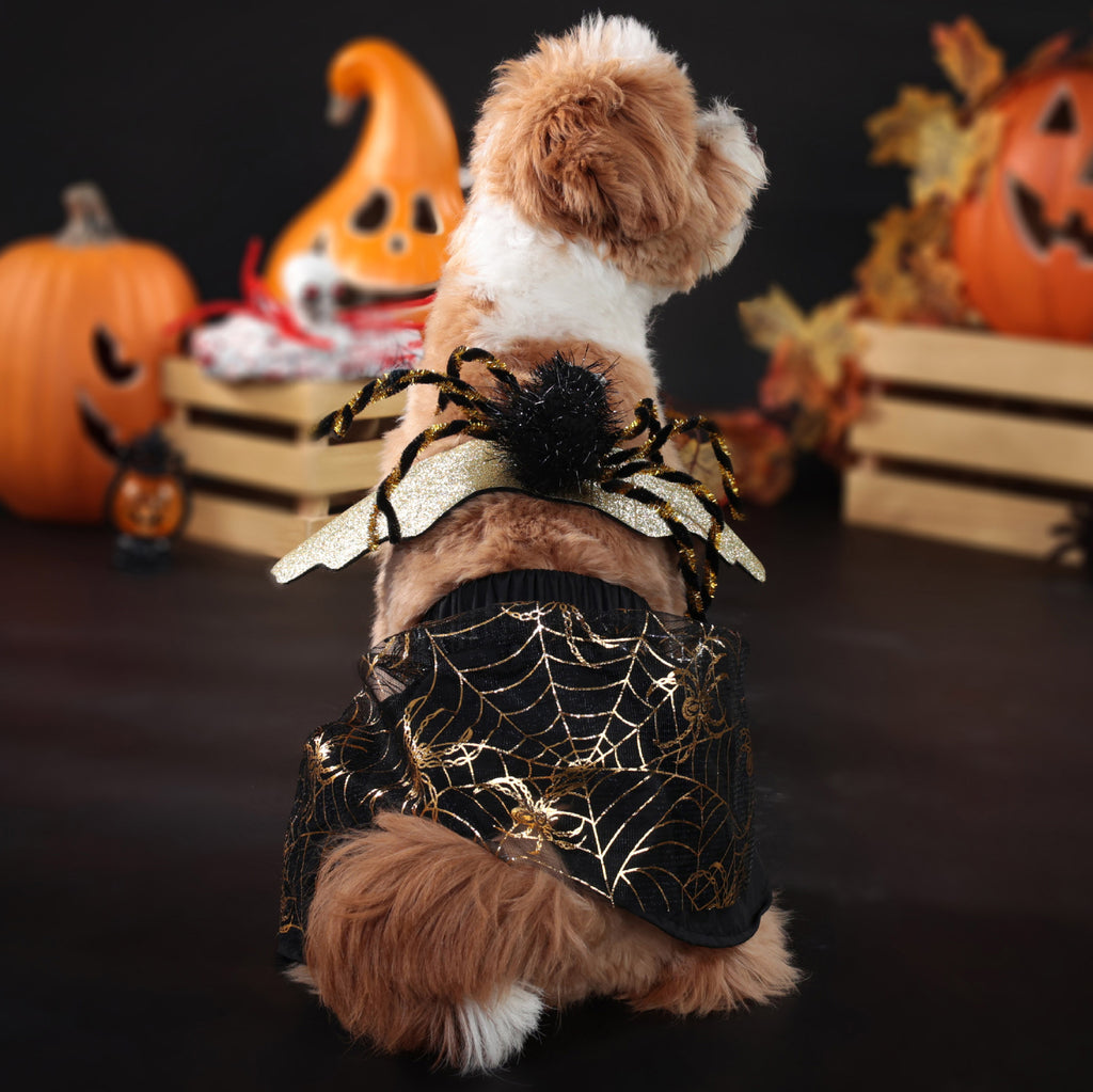 Halloween Pet Dog Costume Spooky Spider Wings Transformation Dress Set Factory Direct