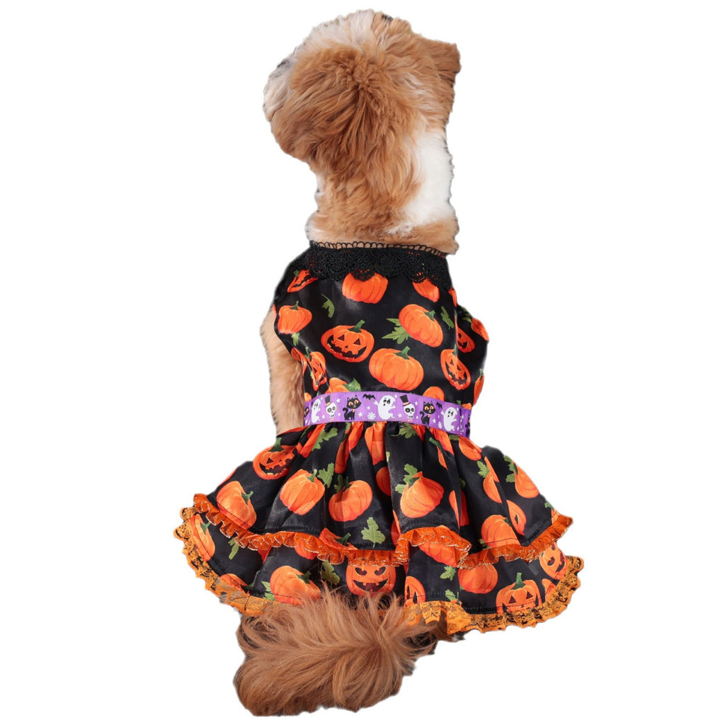 Halloween Pet Dog Dress for Medium and Small Dogs, Pumpkin Lace Skirt Factory Drop Shipping