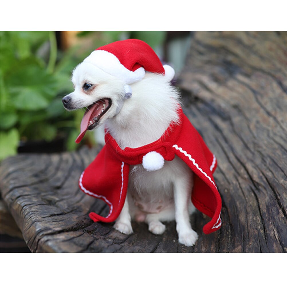 Christmas Pet Hat & Cloak Set for Cats & Small Dogs