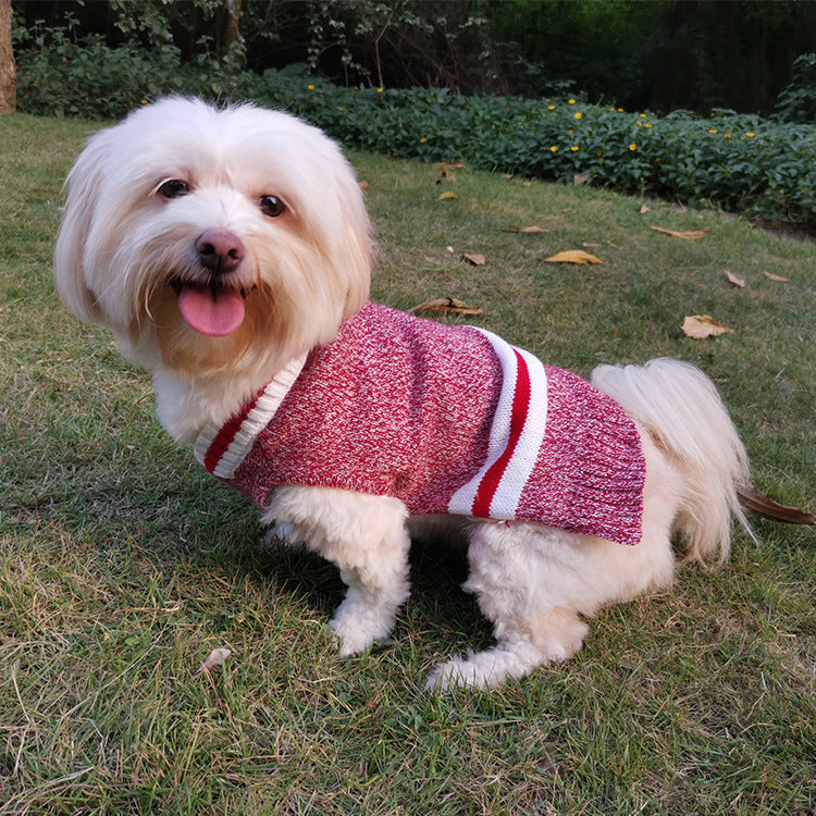 Wool-Blend V-Neck Pet Sweater for Cats & Small Dogs