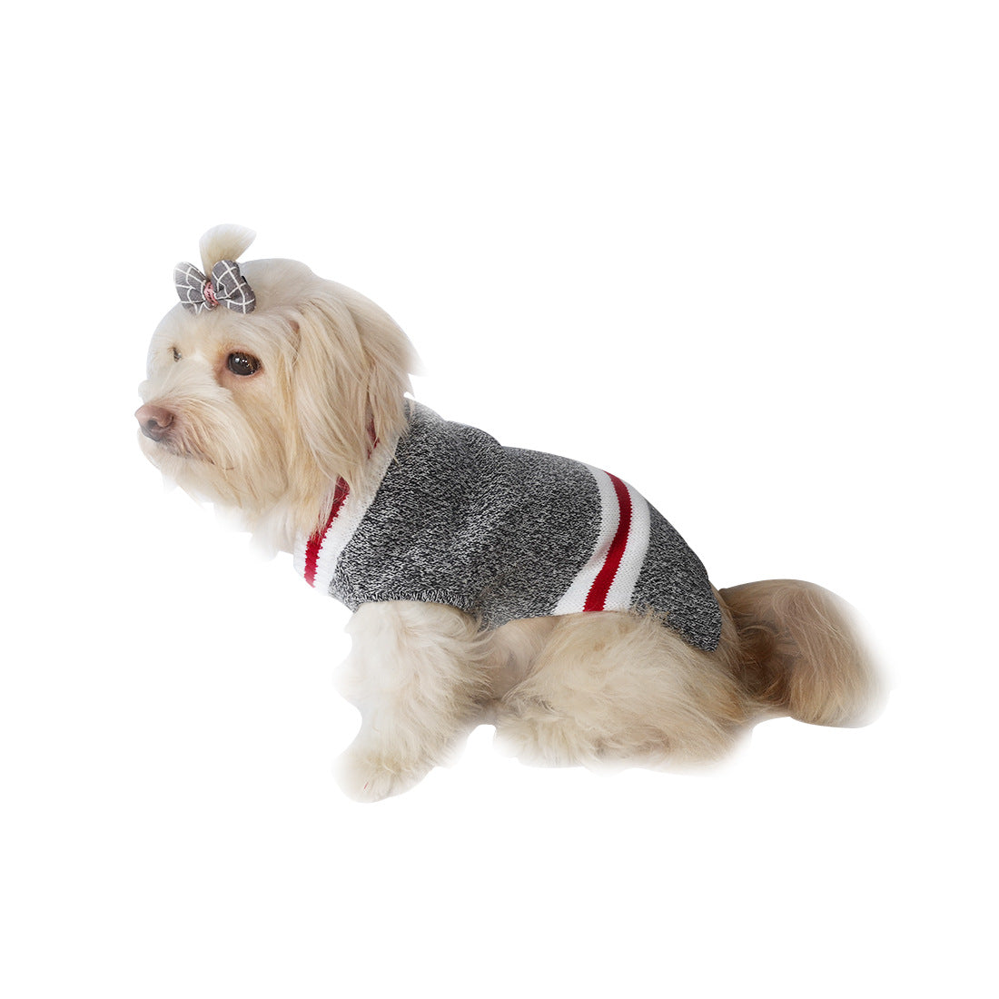 Wool-Blend V-Neck Pet Sweater for Cats & Small Dogs