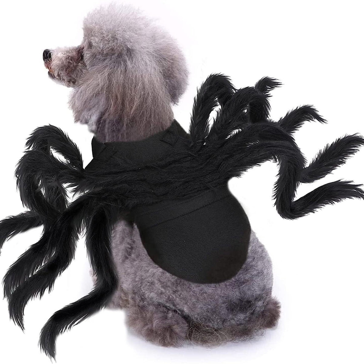 Bat Wings & Spider Legs Halloween Costume for Dogs & Cats — Light-Up Option