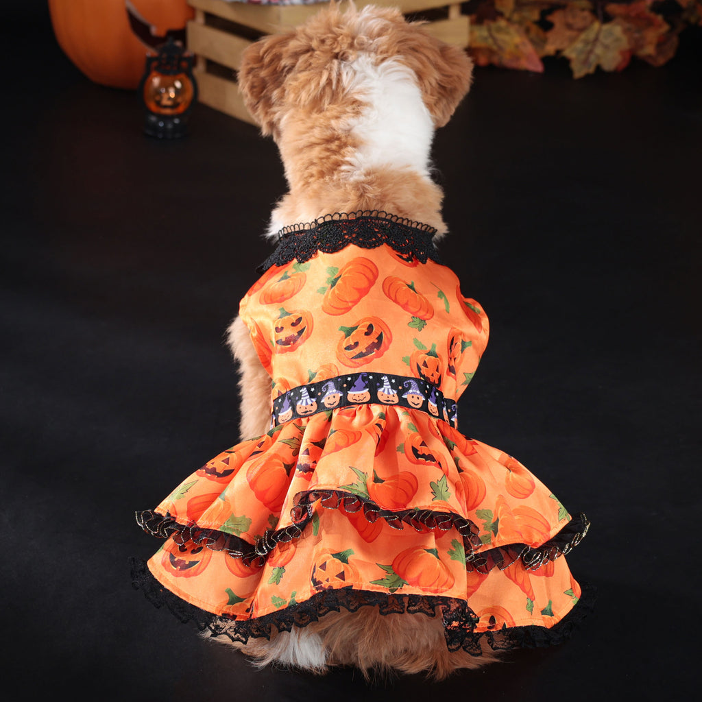 Halloween Pet Dog Dress for Medium and Small Dogs, Pumpkin Lace Skirt Factory Drop Shipping
