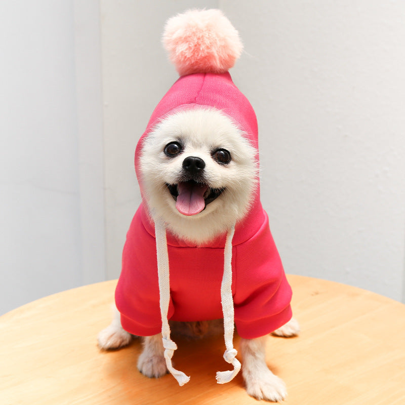 Chick-Style Pet Sweatshirt for Cats & Dogs