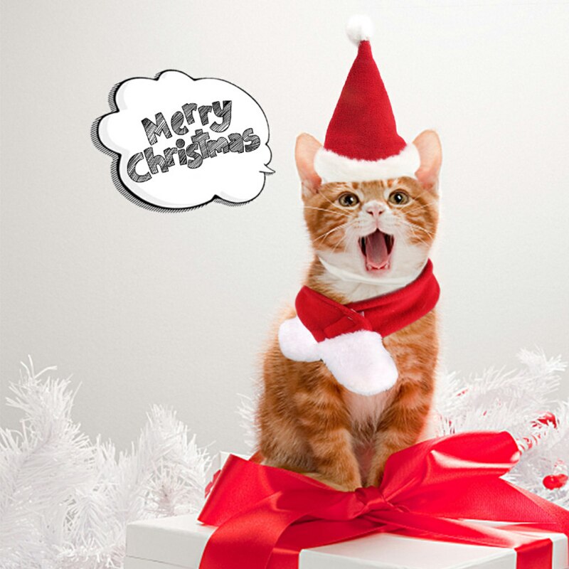 Christmas Pet Scarf & Hat Accessories for Cats and Dogs