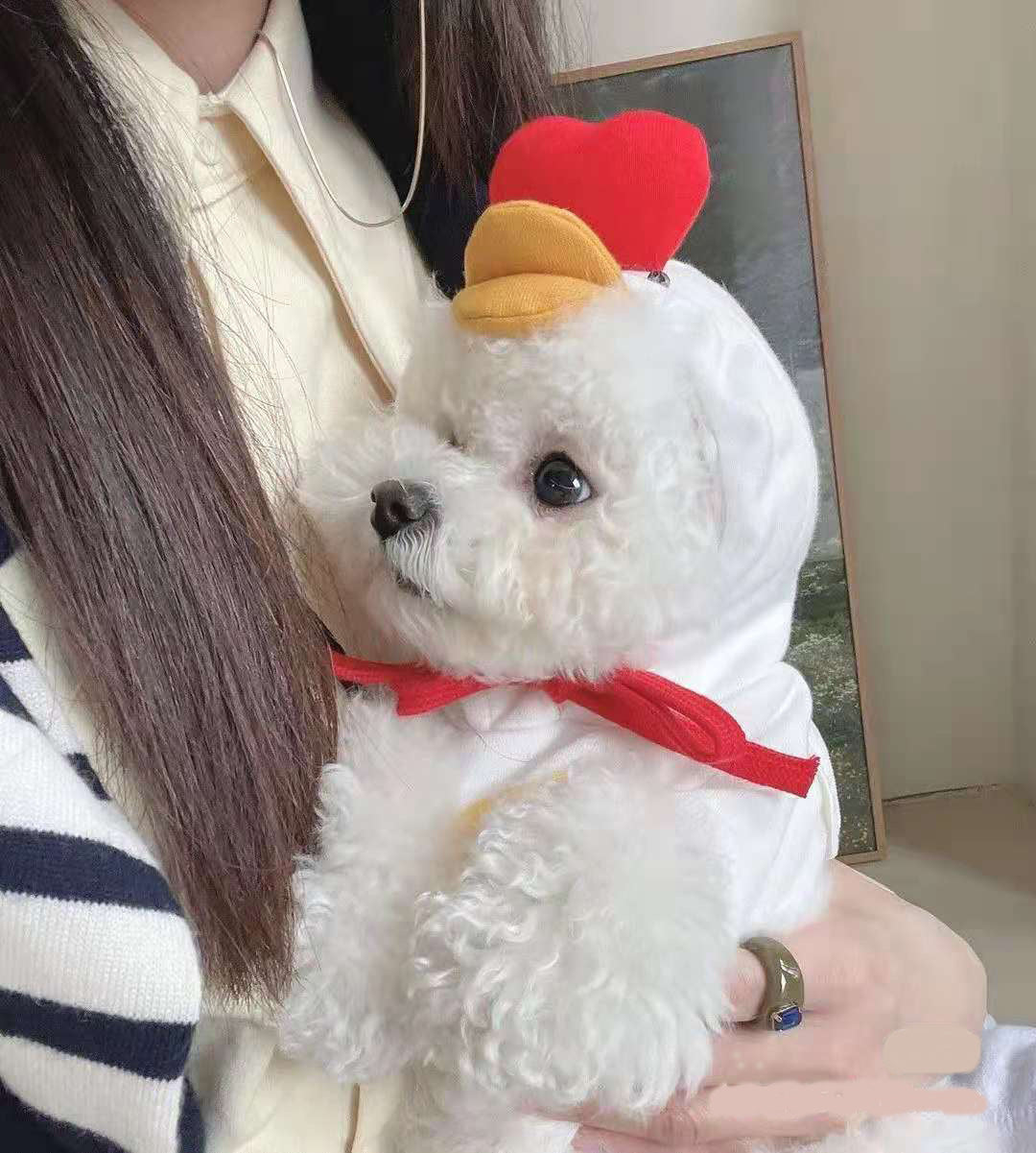 Chick-Style Pet Sweatshirt for Cats & Dogs