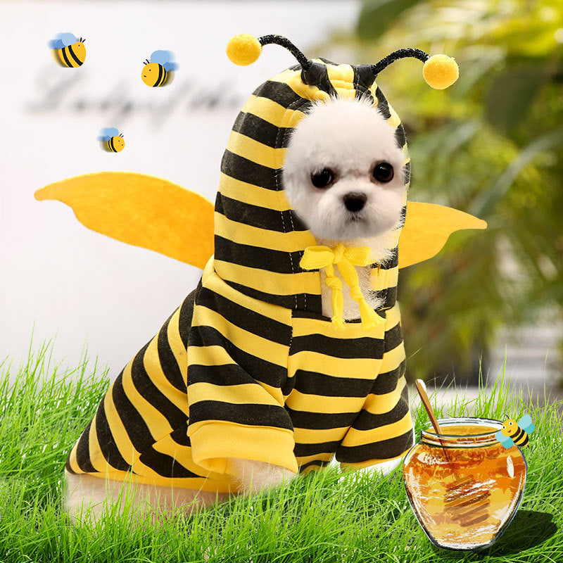 Chick-Style Pet Sweatshirt for Cats & Dogs