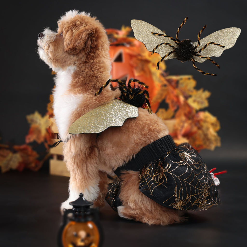 Halloween Pet Dog Costume Spooky Spider Wings Transformation Dress Set Factory Direct