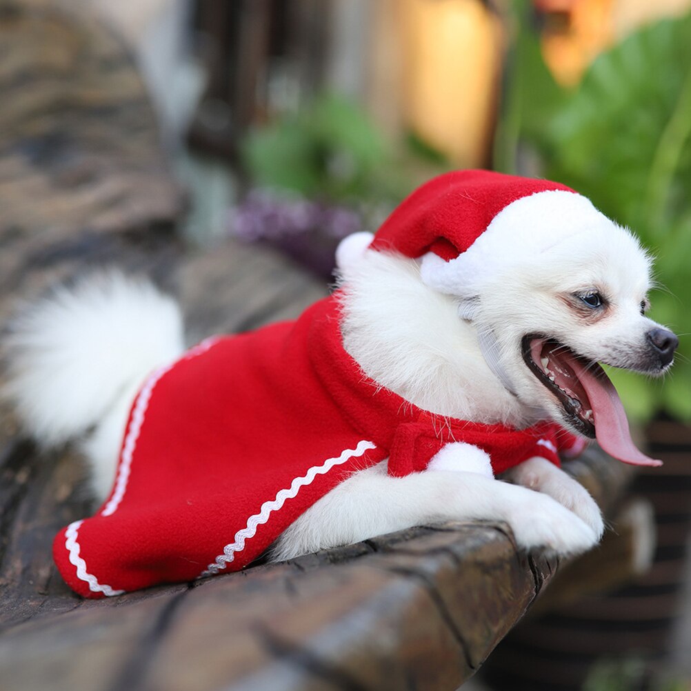 Christmas Pet Hat & Cloak Set for Cats & Small Dogs