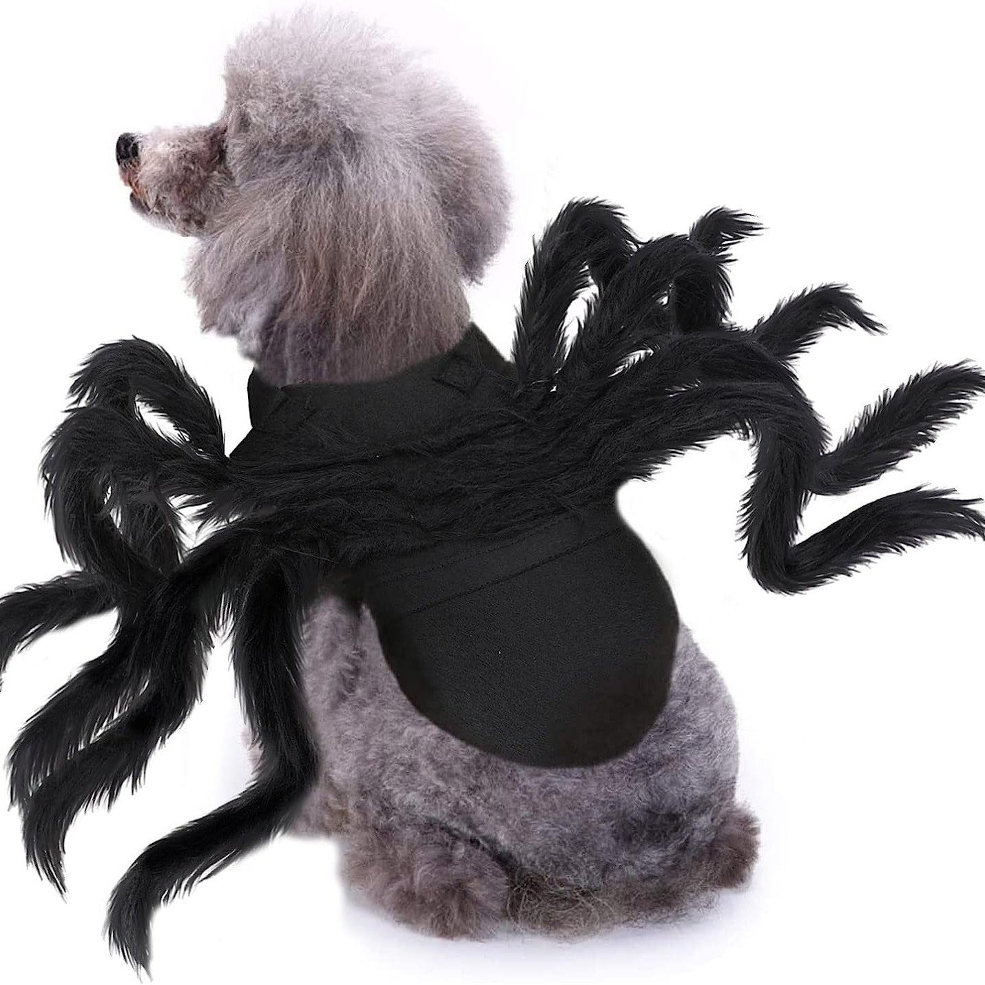 Bat Wings & Spider Legs Halloween Costume for Dogs & Cats — Light-Up Option