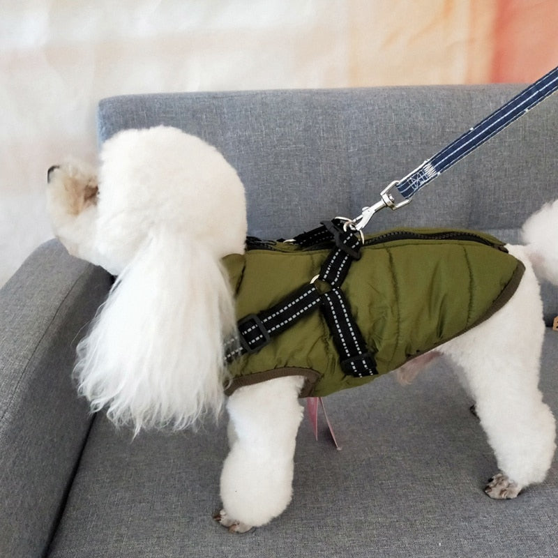 Padded Winter Dog Vest with Adjustable Harness