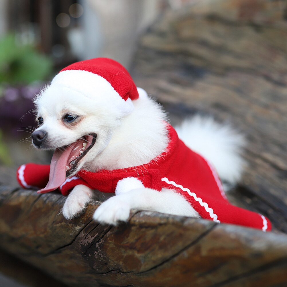 Christmas Pet Hat & Cloak Set for Cats & Small Dogs