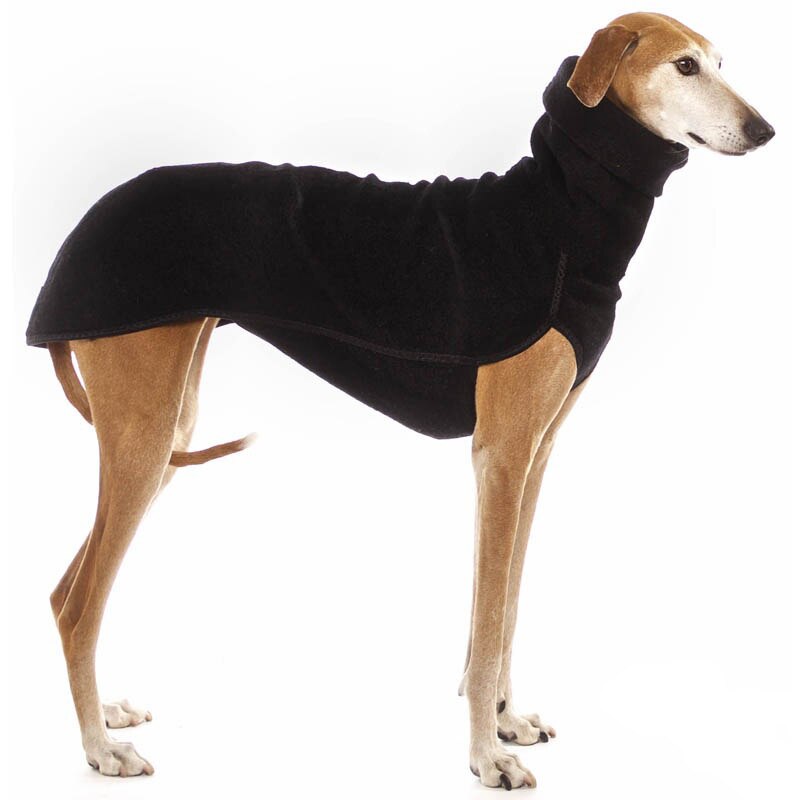 High-Collar Winter Pullover for Medium & Large Dogs