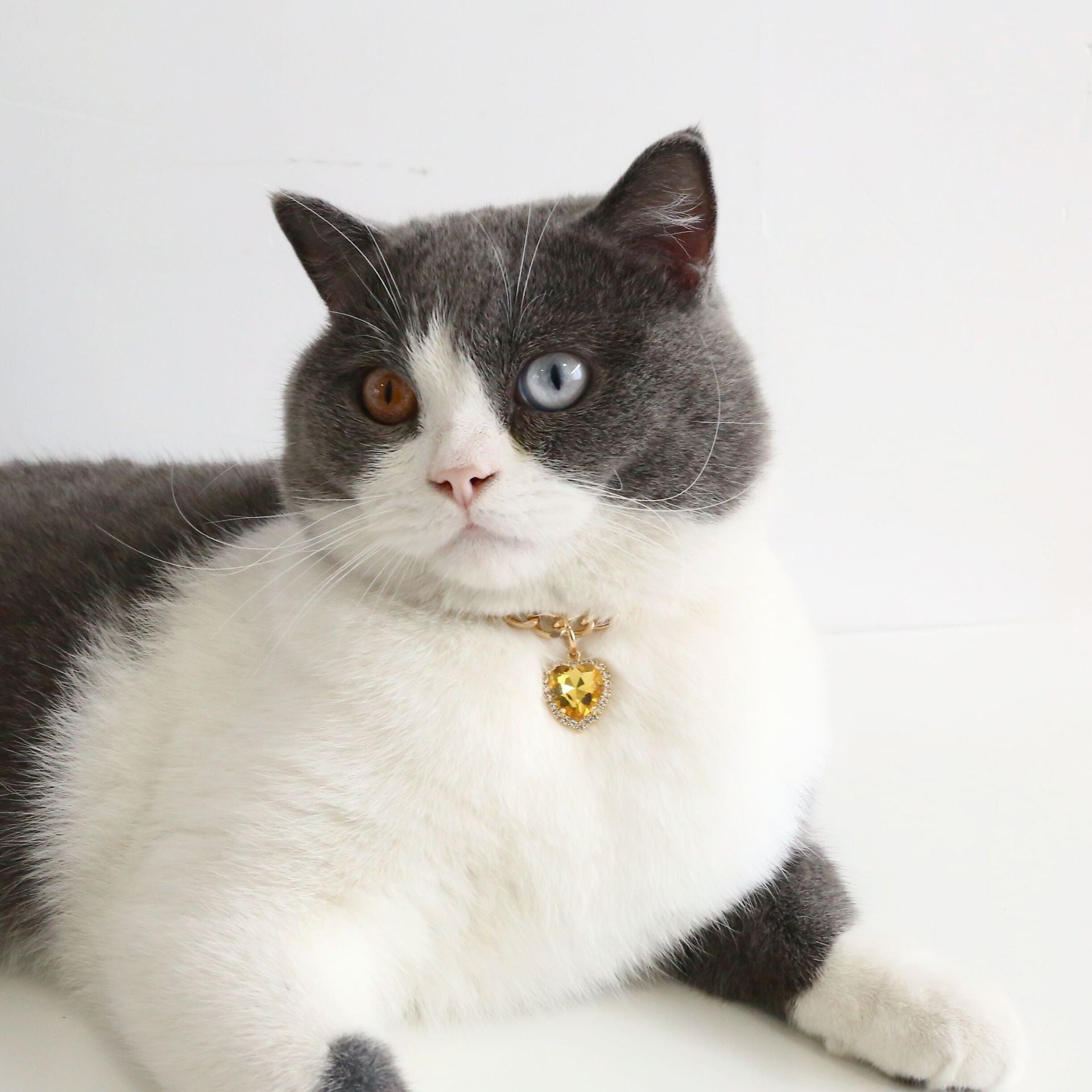 Pet  Luxury  Rhinestones Collar Adjustable Metal Heart-shaped  Pendant Color Kitty Puppy Necklace Products Cat Accessories