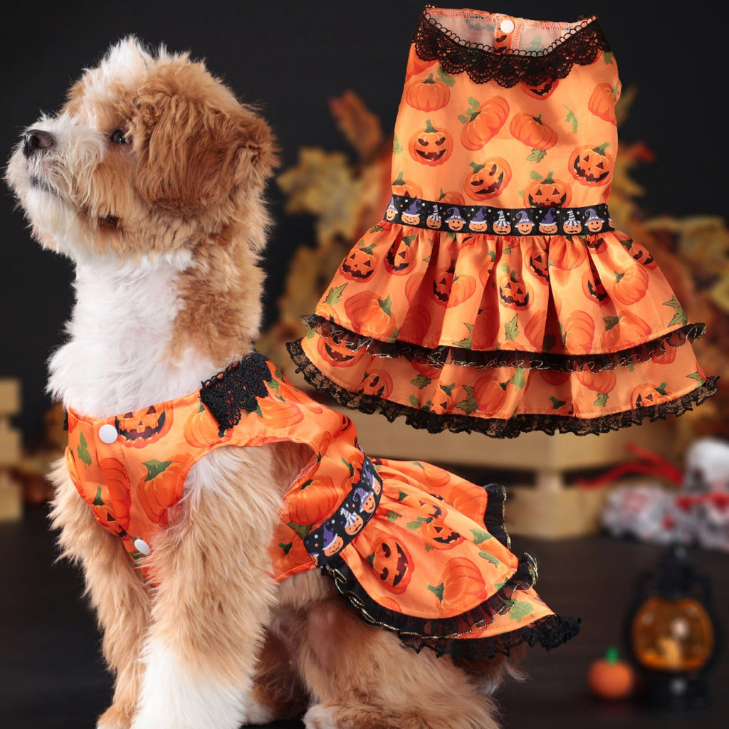 Halloween Pet Dog Dress for Medium and Small Dogs, Pumpkin Lace Skirt Factory Drop Shipping