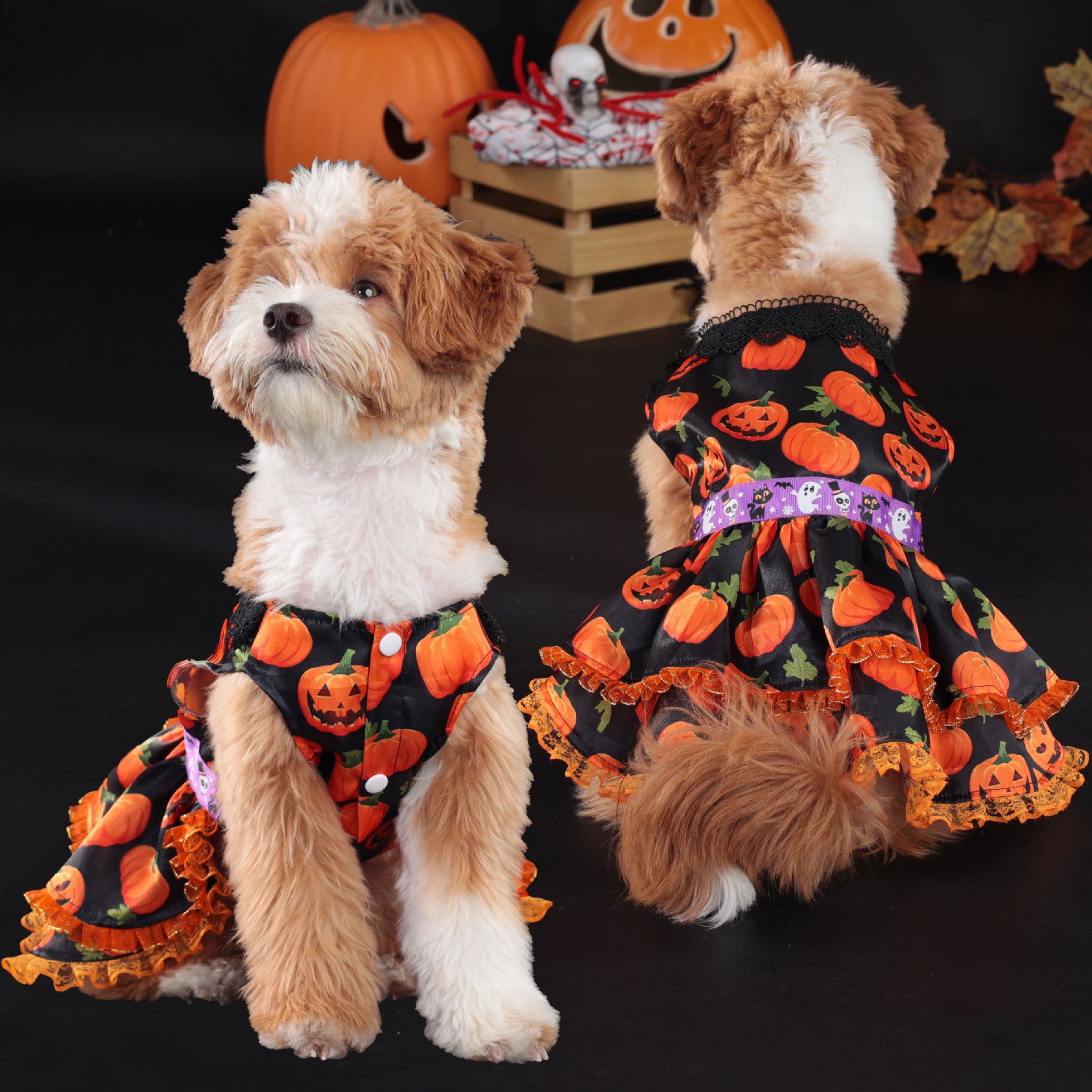 Halloween Pet Dog Dress for Medium and Small Dogs, Pumpkin Lace Skirt Factory Drop Shipping
