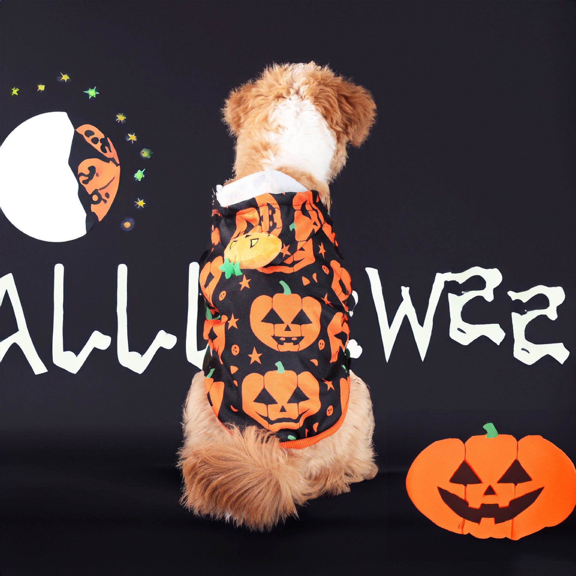 Halloween Pumpkin Hoodie Sweatshirt for Small Dogs & Cats