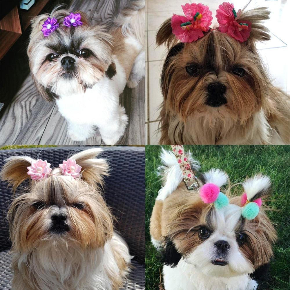 Christmas Dog Hair Bows – 10-Piece Mixed-Style Pack