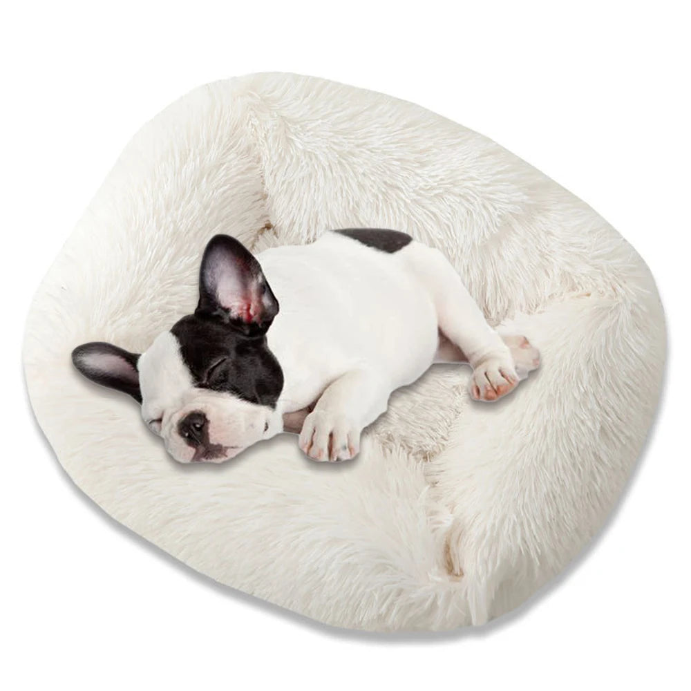 Plush Square Dog & Cat Bed — 12 Colors, 4 Sizes